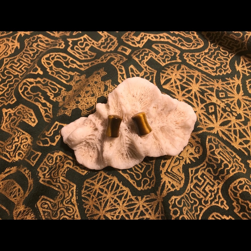 2g Beautiful Tiger’s Eye stone plugs/earrings